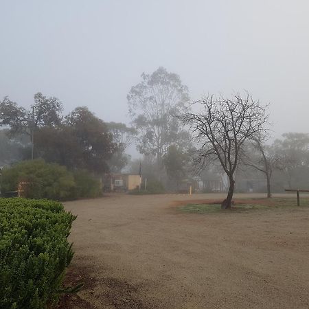 Pecan Hill Bnb Toodyay Buitenkant foto