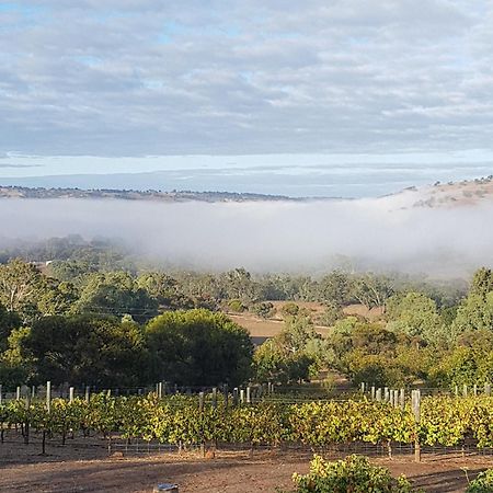 Pecan Hill Bnb Toodyay Buitenkant foto