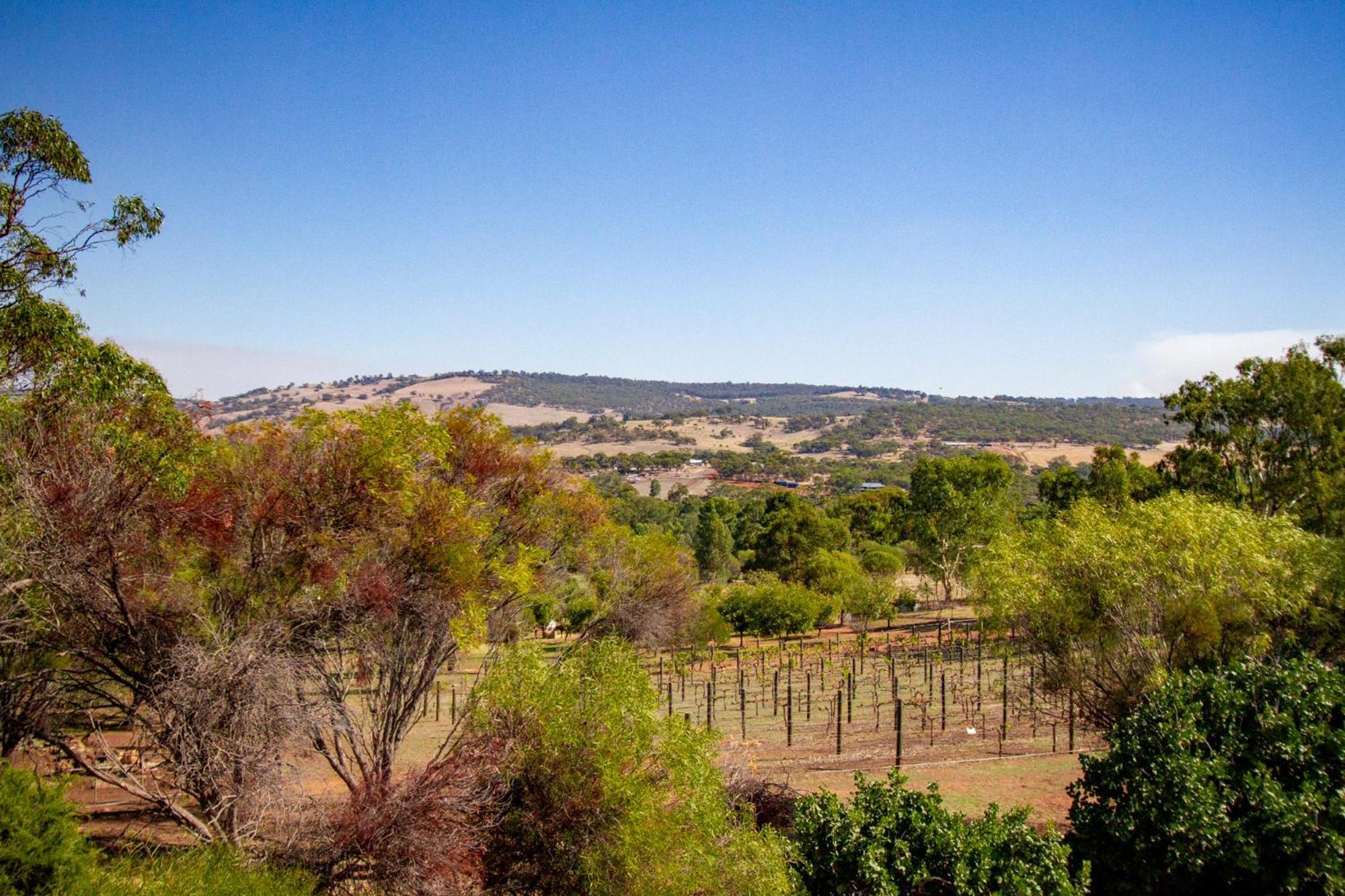 Pecan Hill Bnb Toodyay Buitenkant foto