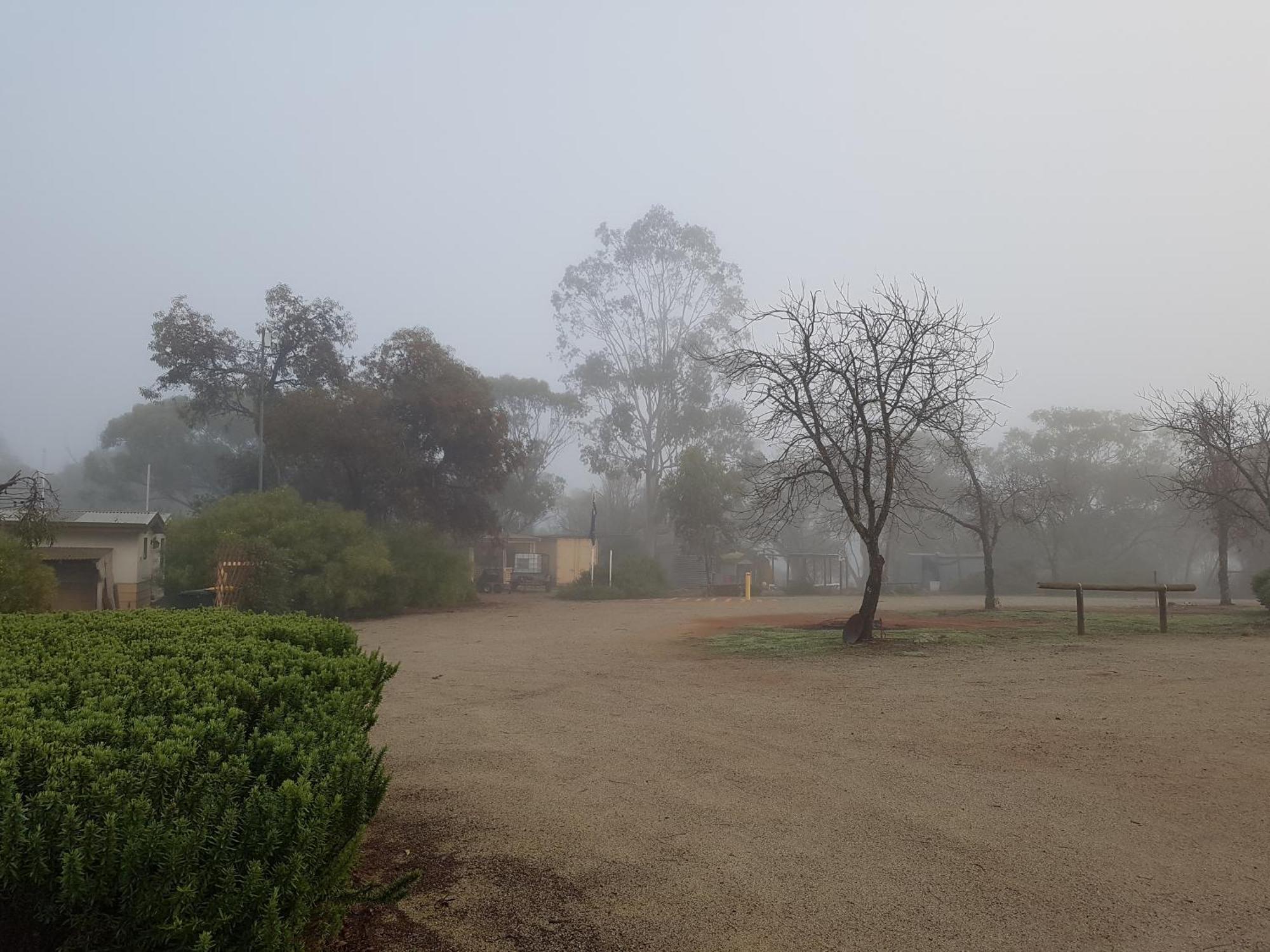 Pecan Hill Bnb Toodyay Buitenkant foto