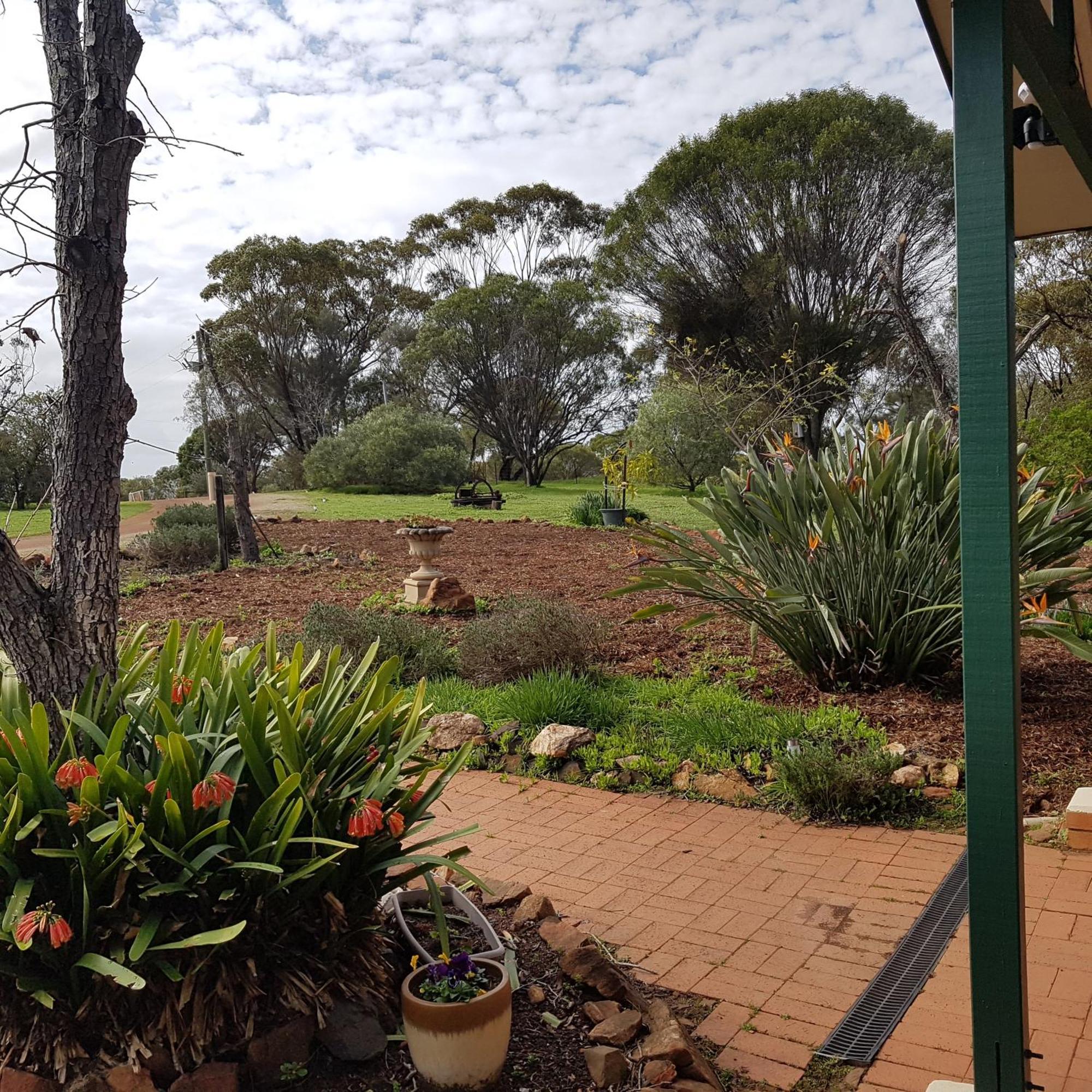 Pecan Hill Bnb Toodyay Buitenkant foto