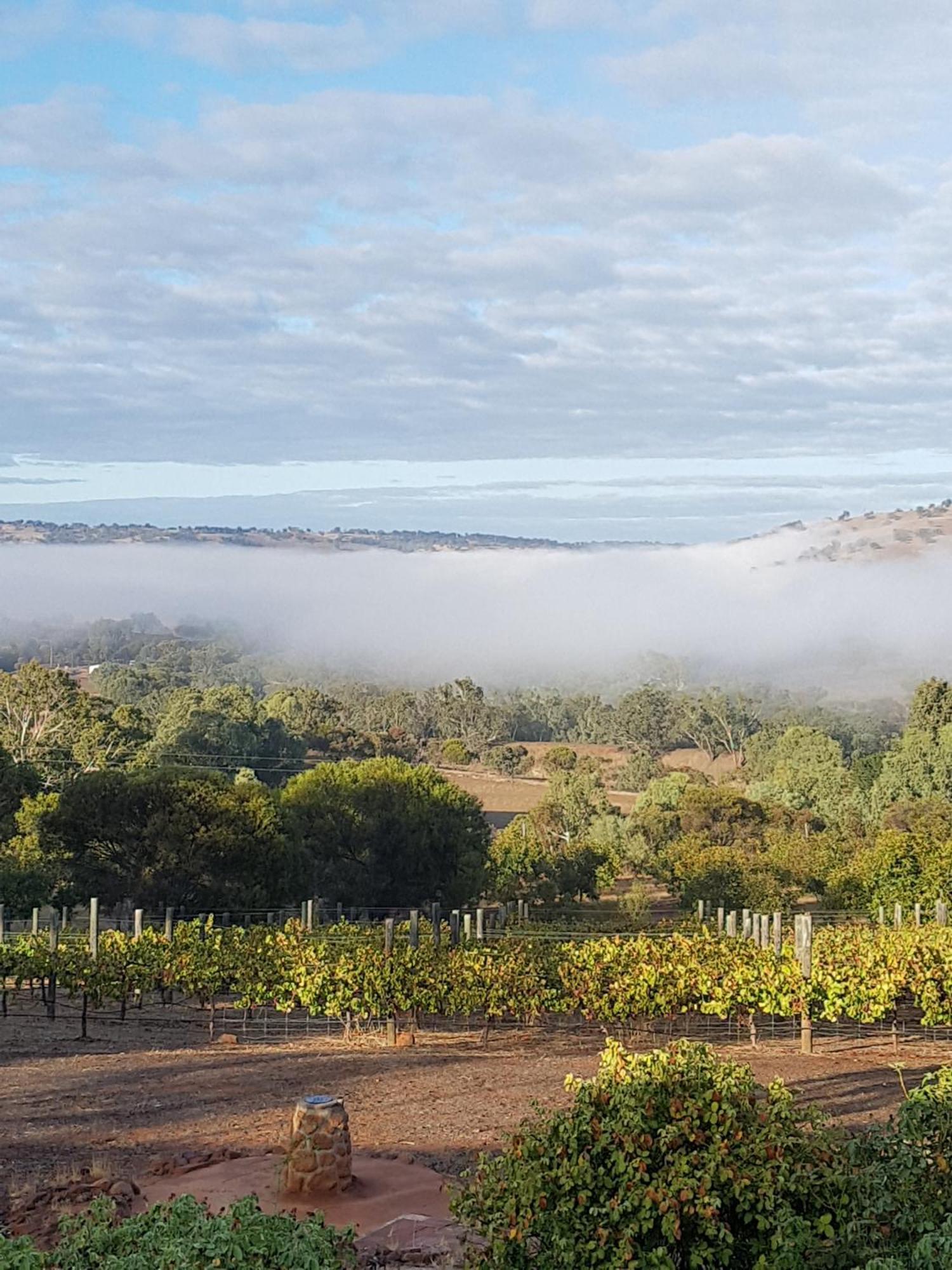 Pecan Hill Bnb Toodyay Buitenkant foto